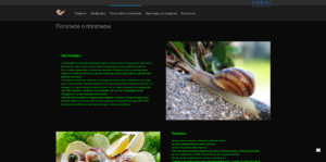 snails